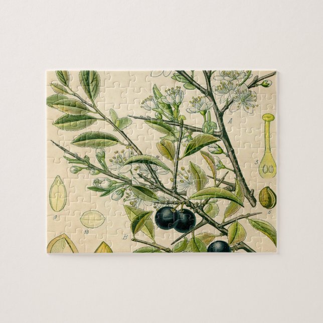 Antique Blackthorn Botanical Print Flower Berry Jigsaw Puzzle (Horizontal)