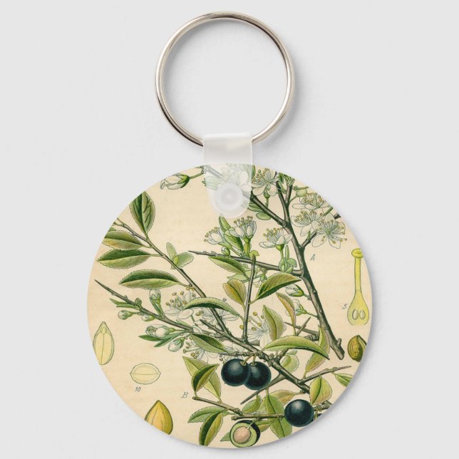 Antique Blackthorn Botanical Print Flower Berry Keychain (Front)