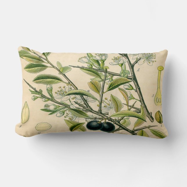 Antique Blackthorn Botanical Print Flower Berry Lumbar Pillow (Front)