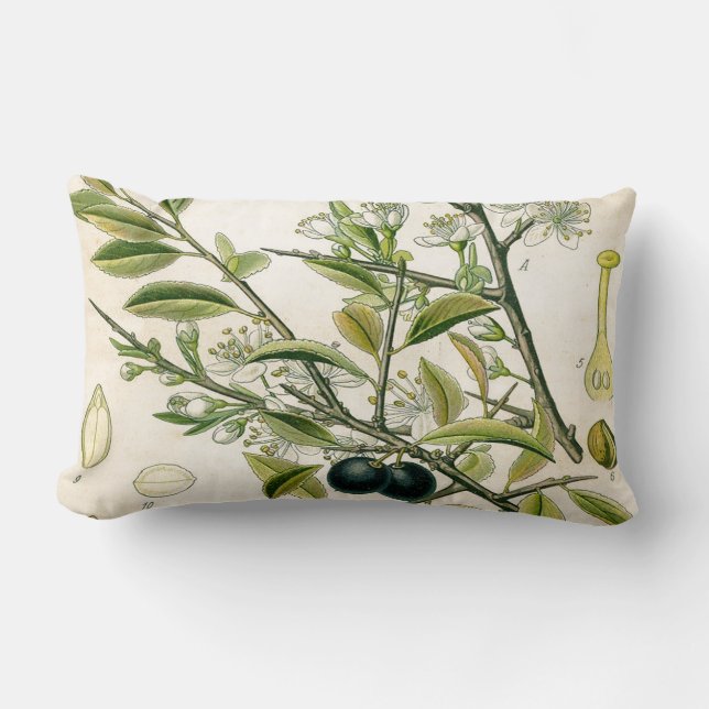Antique Blackthorn Botanical Print Flower Berry Lumbar Pillow (Front)