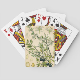 Antique Blackthorn Botanical Print Flower Berry Playing Cards
