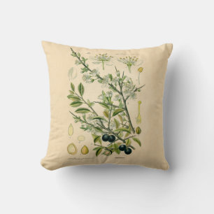 Antique Blackthorn Botanical Print Flower Berry Throw Pillow