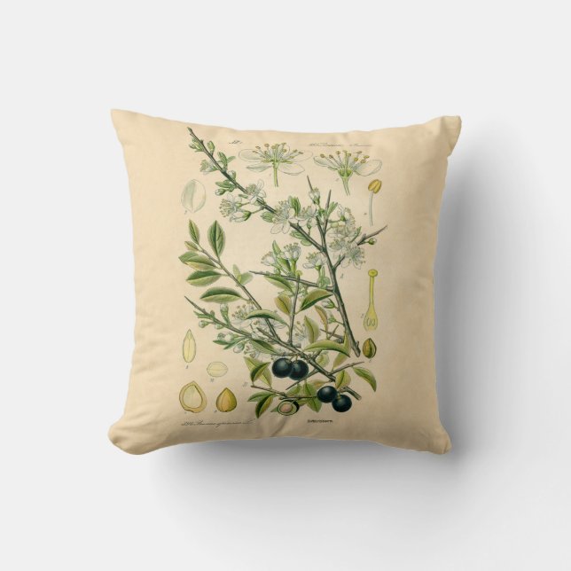 Antique Blackthorn Botanical Print Flower Berry Throw Pillow (Front)