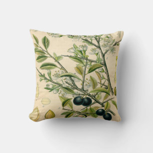 Antique Blackthorn Botanical Print Flower Berry Throw Pillow