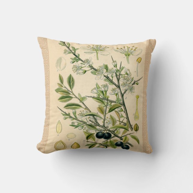Antique Blackthorn Botanical Print Flower Berry Throw Pillow (Front)