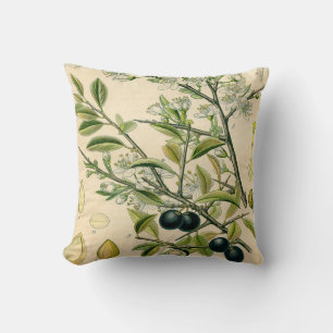 Antique Blackthorn Botanical Print Flower Berry Throw Pillow
