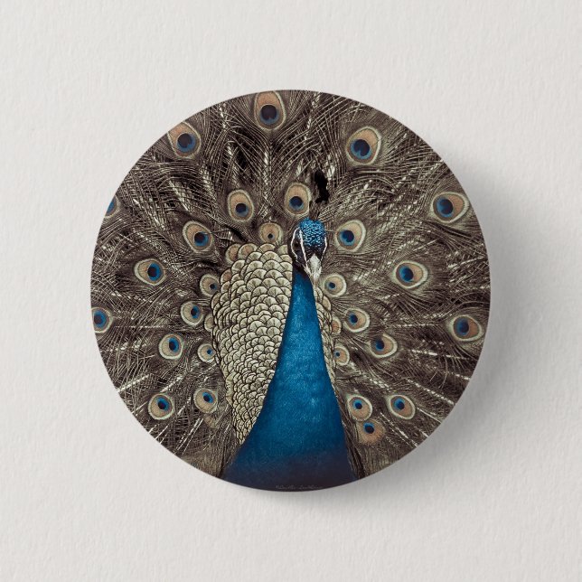 Antique Blue Peacock 2 Inch Round Button (Front)