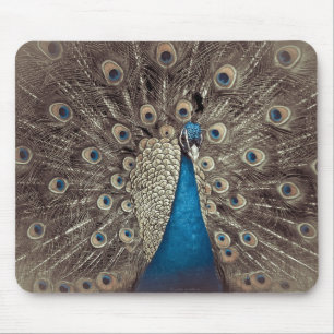 Antique Blue Peacock Mouse Pad