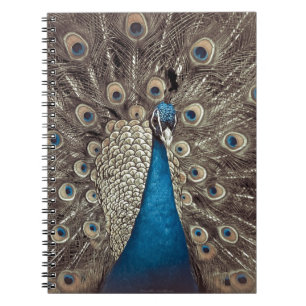 Antique Blue Peacock Notebook