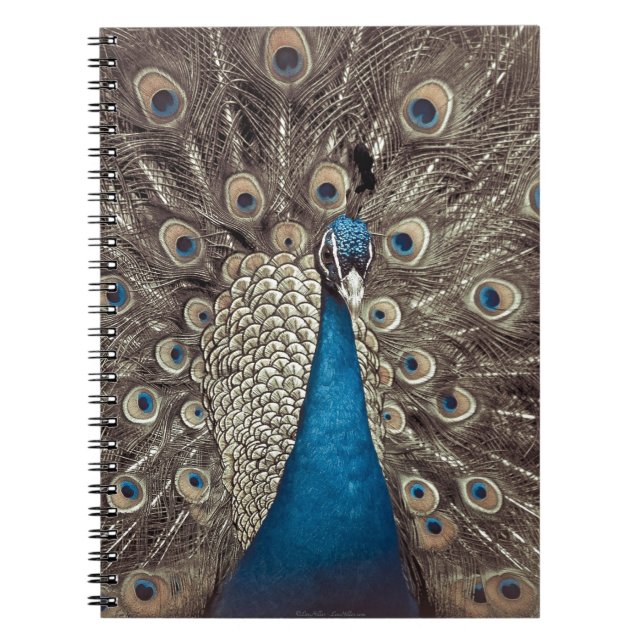 Antique Blue Peacock Notebook (Front)