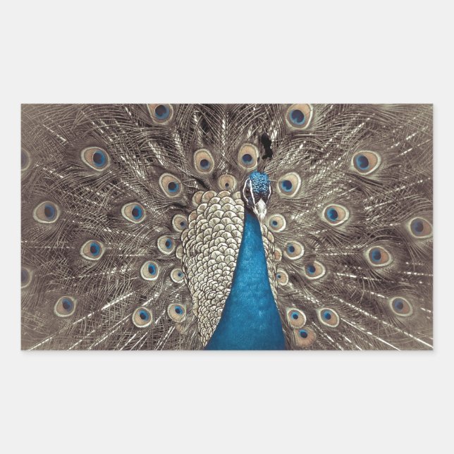 Antique Blue Peacock Sticker (Front)
