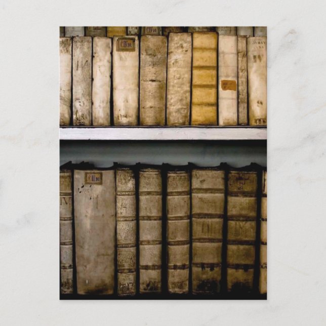 Antique Books 17th Century Vellum Bindings Postcard (Front)