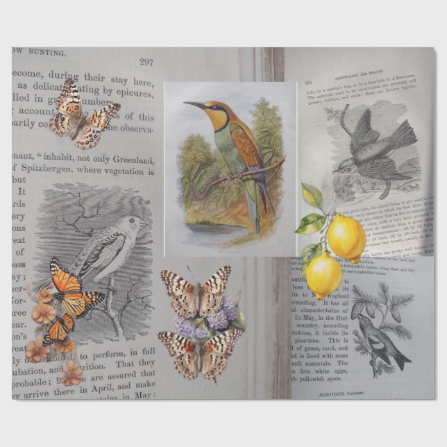Antique Books, Birds and Butterflies  Wrapping Paper (Flat)