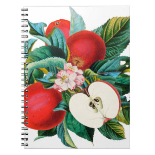 Antique botanical apple fruit arrangement, apple t notebook