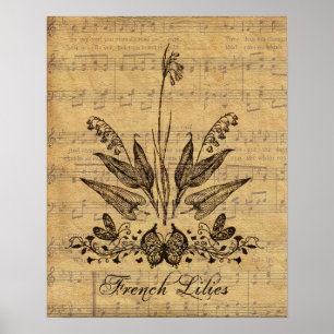 Antique Botanical French Lillies Poster