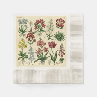 Antique Botanical Print, Plate 12 Napkin