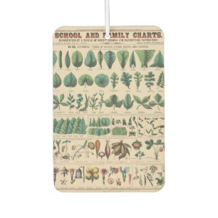 Antique Botanical School Chart Vintage Nature Air Freshener