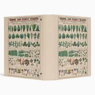 Antique Botanical School Chart Vintage Nature Binder