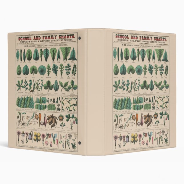 Antique Botanical School Chart Vintage Nature Binder (Background)