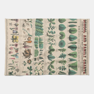 Antique Botanical School Chart Vintage Nature Kitchen Towel