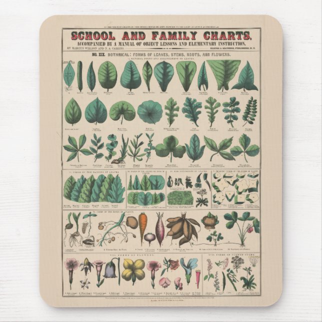 Antique Botanical School Chart Vintage Nature Mouse Pad (Front)