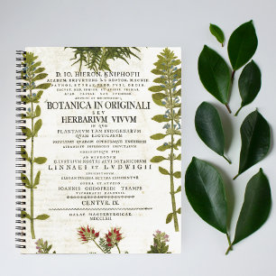 Antique Botanique Journal de puces