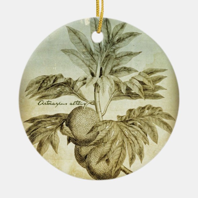 Antique Breadfruit Artocarpus Altilis Ceramic Ornament (Front)