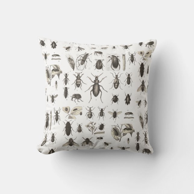 Antique Bugs and  Insects Entomology Throw Pillow (Front)