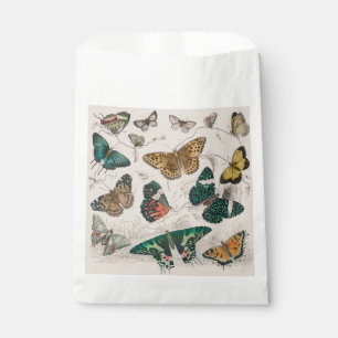 Antique Butterfly Illustration: 1820 Goldsmith Favour Bag