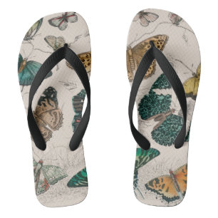 Antique Butterfly Illustration: 1820 Goldsmith Flip Flops