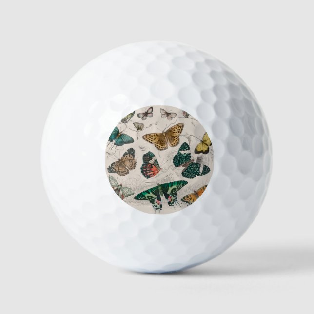 Antique Butterfly Illustration: 1820 Goldsmith Golf Balls (Front)
