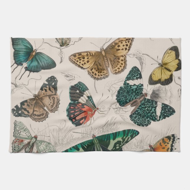 Antique Butterfly Illustration: 1820 Goldsmith Kitchen Towel (Horizontal)
