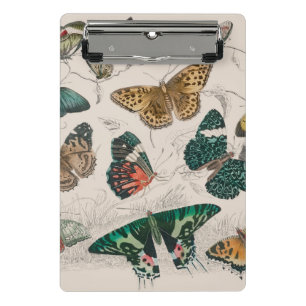 Antique Butterfly Illustration: 1820 Goldsmith Mini Clipboard