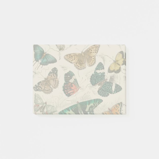 Antique Butterfly Illustration: 1820 Goldsmith Post-it Notes (Front)