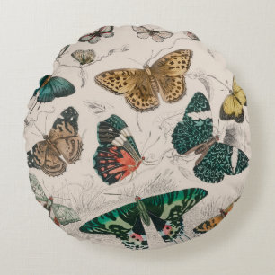 Antique Butterfly Illustration: 1820 Goldsmith Round Pillow