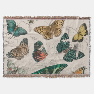 Antique Butterfly Illustration: 1820 Goldsmith Throw Blanket
