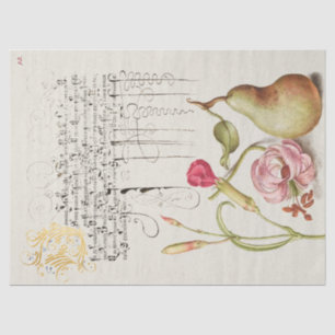 Antique Calligraphy and Drawing  Tissue Paper