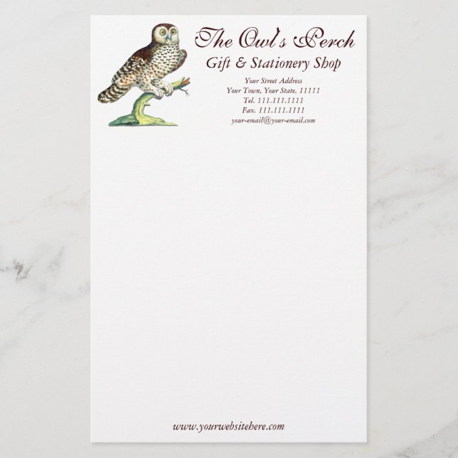 Antique Canadian Owl Print Customizable Stationery (Front)