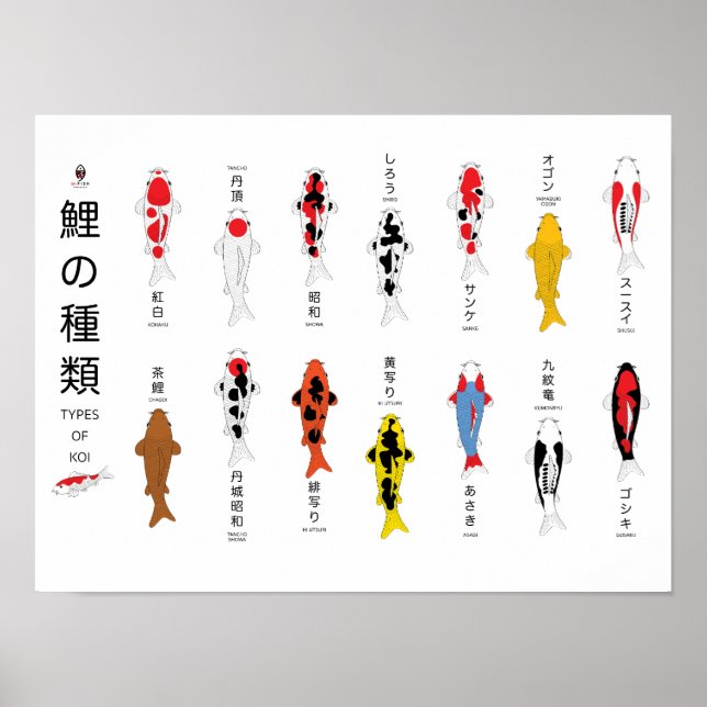 Antique carp poster, hand-painted poster (Front)