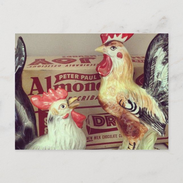 Antique Chickens Postcard (Front)