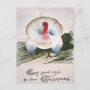 Antique Christmas Turkey Postcard