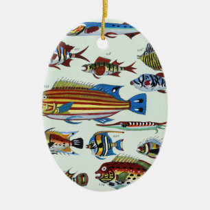 Antique Colorful Exotic Fish Natural History Print Ceramic Ornament