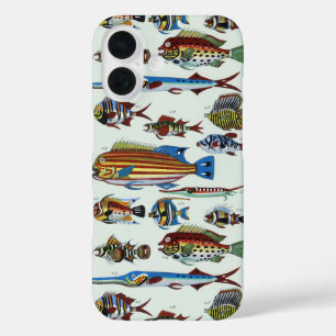 Antique Colourful Exotic Fish Natural History Prin iPhone 16 Case