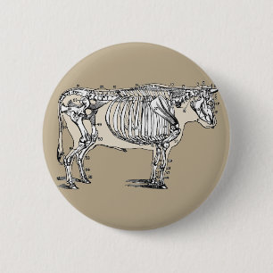 Antique Cow Skeleton Bones Fun 2 Inch Round Button