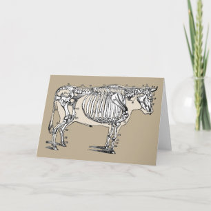 Antique Cow Skeleton Bones Fun Card
