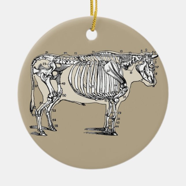 Antique Cow Skeleton Bones Fun Ceramic Ornament (Front)