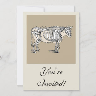 Antique Cow Skeleton Bones Fun Invitation