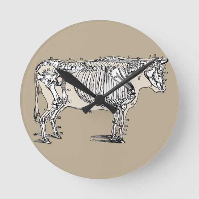 Antique Cow Skeleton Bones Fun Round Clock (Front)