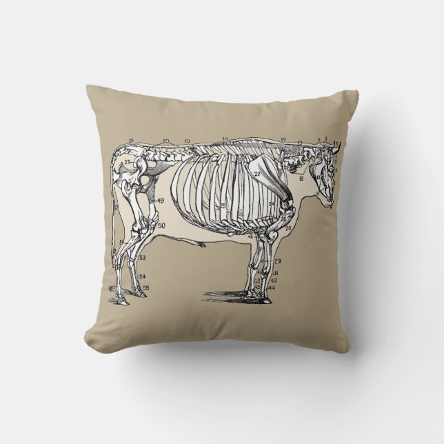 Antique Cow Skeleton Bones Fun Throw Pillow (Front)