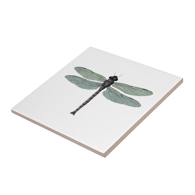 Antique Damselfly Vintage Dragonfly Insect Drawing Tile (Side)